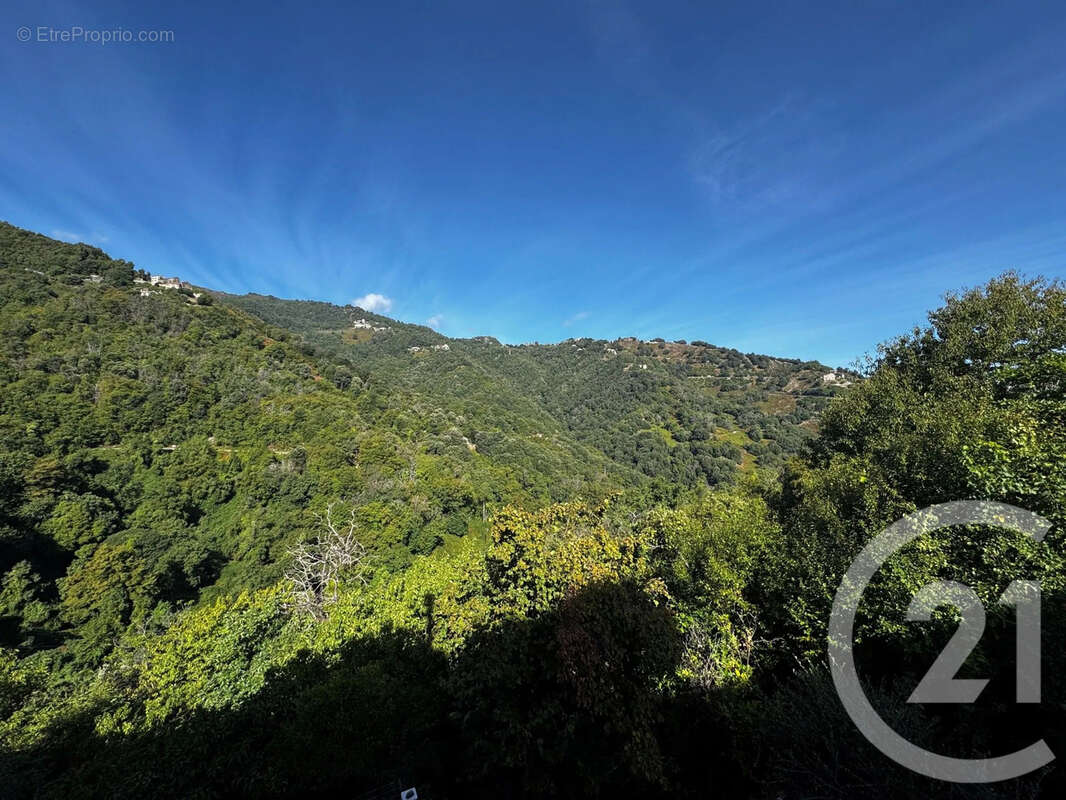 Maison à SAN-NICOLAO