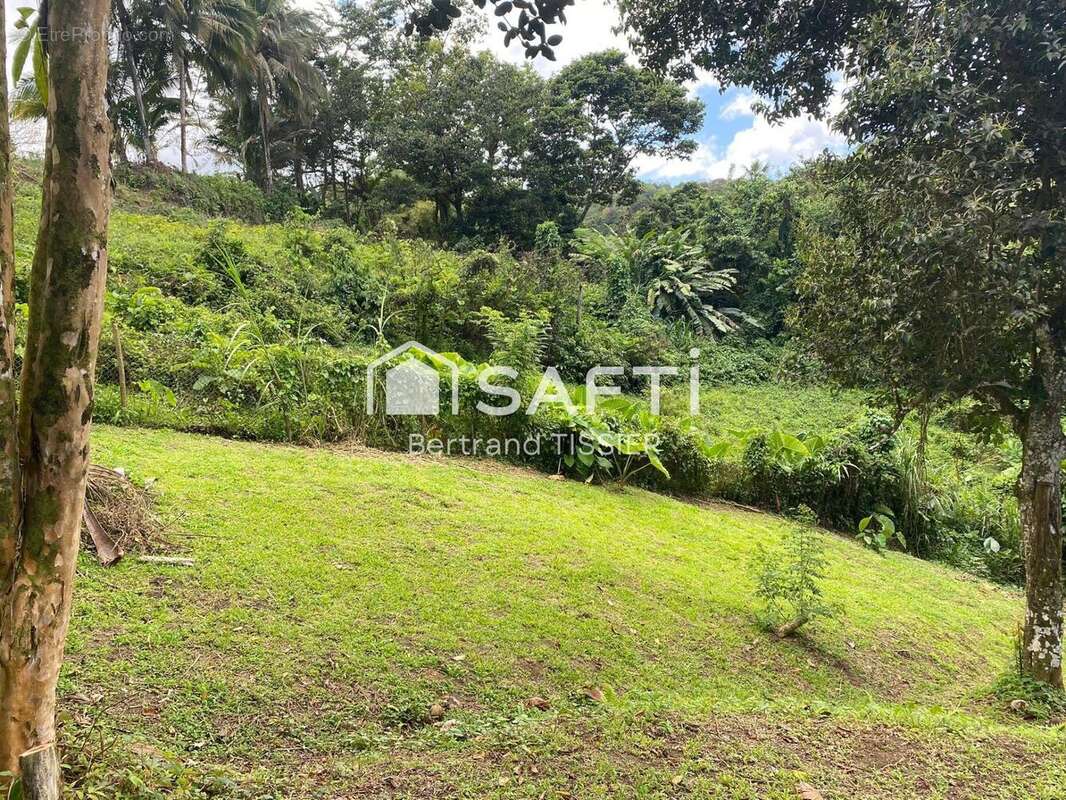 Photo 5 - Terrain à LE LORRAIN