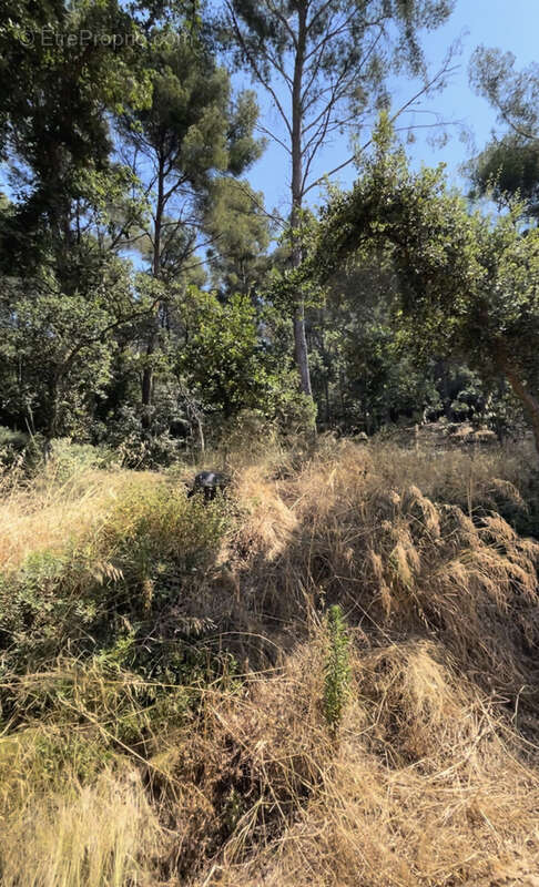 Terrain à SIX-FOURS-LES-PLAGES