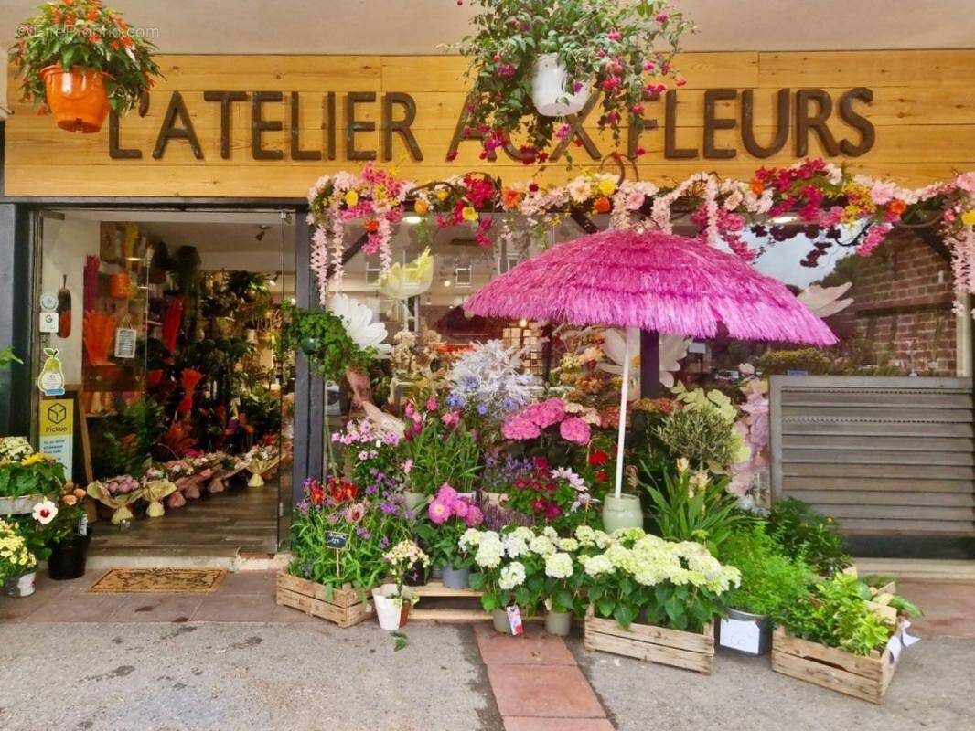 Commerce à PLAN-DE-CUQUES