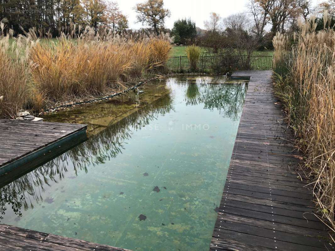 Maison à SAINT-MICHEL-DE-MONTAIGNE