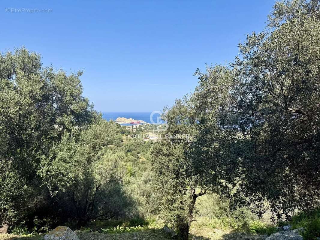 Terrain à MONTICELLO