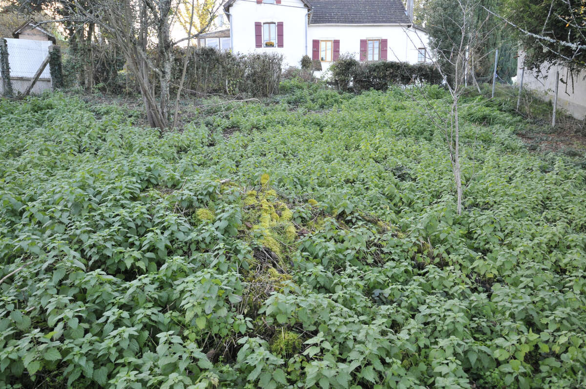 Terrain à VICQ-SUR-BREUILH