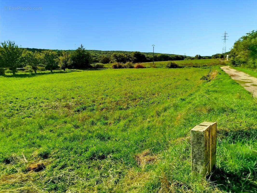 Terrain à LUSSAN