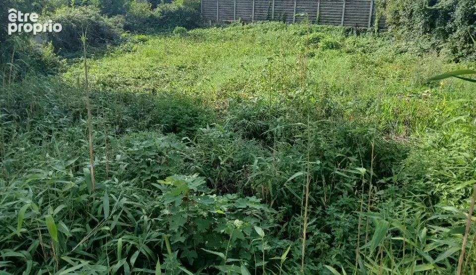 Terrain à RUE