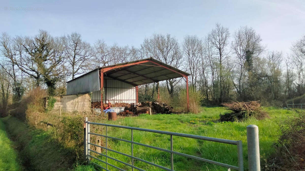 HANGAR - Maison à ASNIERES-SUR-BLOUR