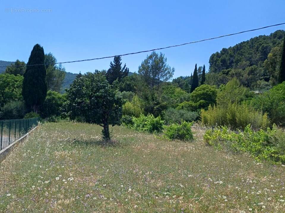 Terrain à SOLLIES-PONT