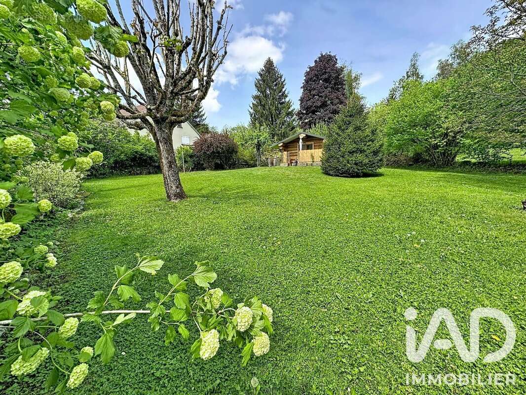 Maison 243 m² à Crenans  - photo 2