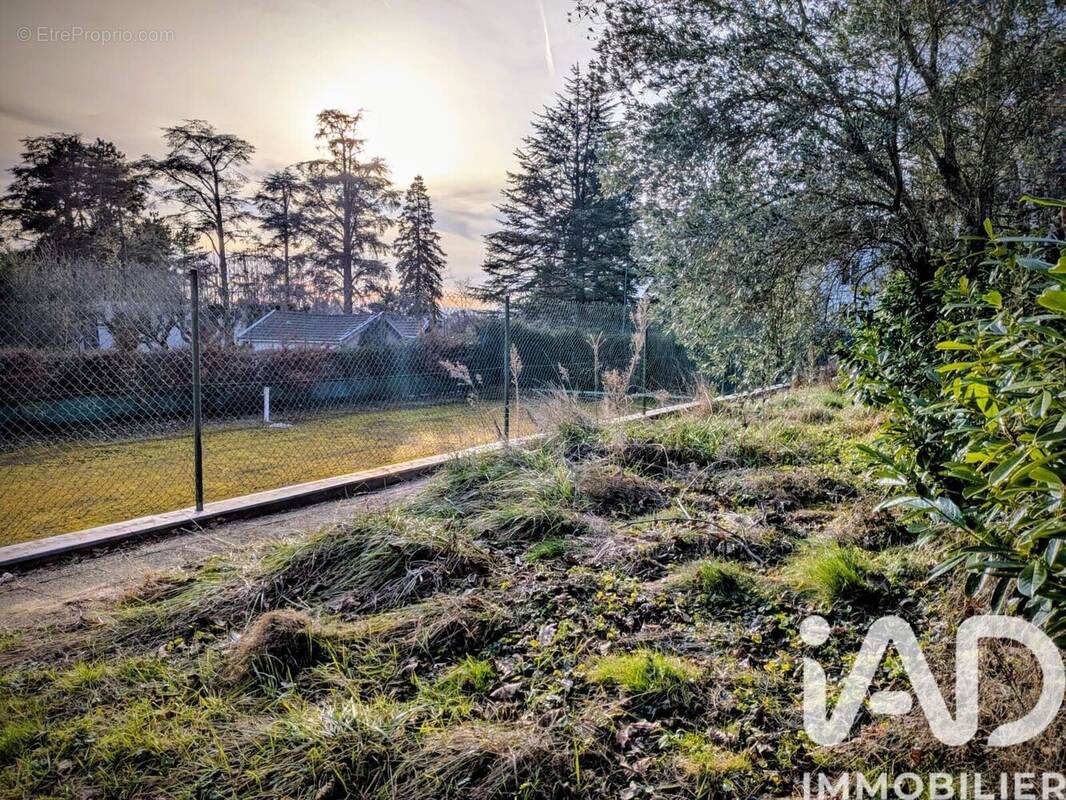 Photo 1 - Terrain à SAINT-DIDIER-AU-MONT-D'OR