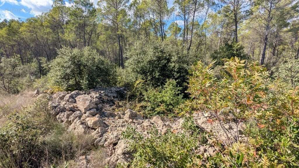 Terrain à ENTRECASTEAUX