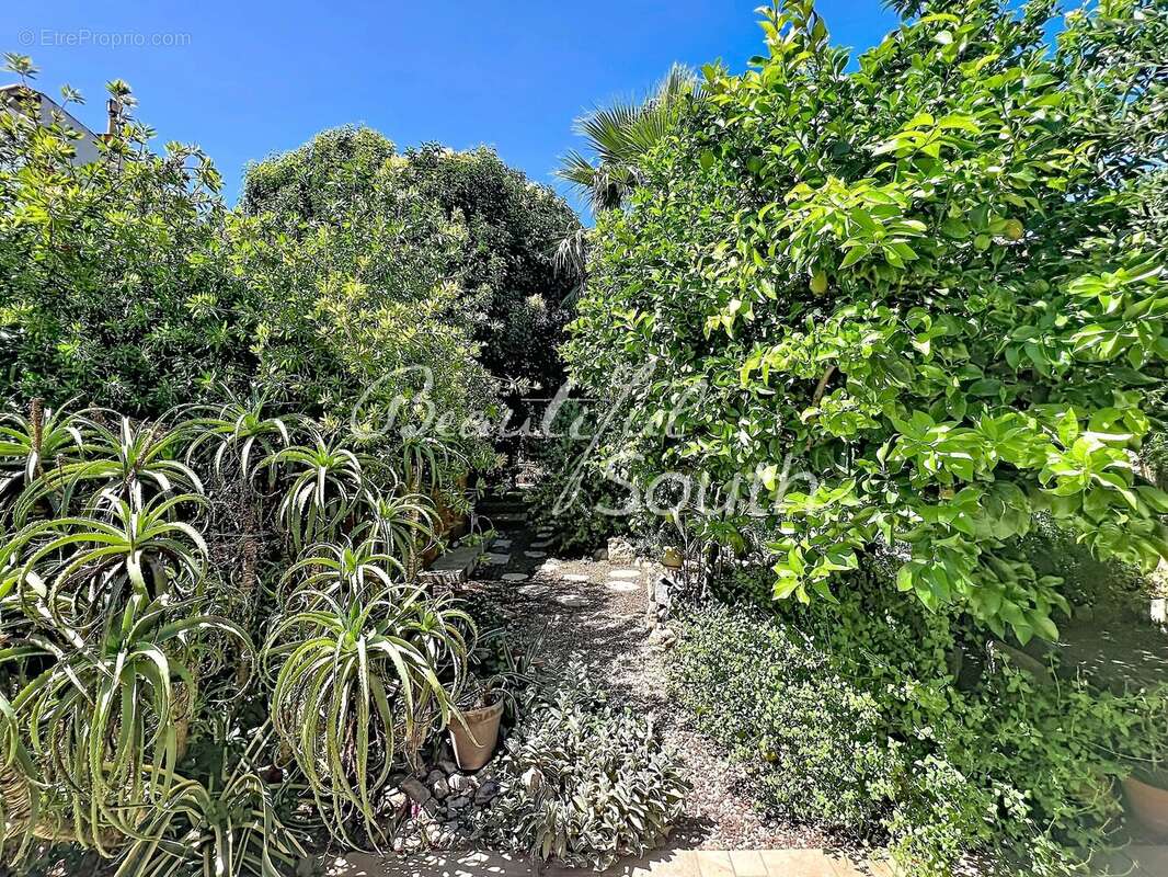 Maison avec jardin luxuriant de 185 m² en plein cœur de ville, perpignan - photo 3