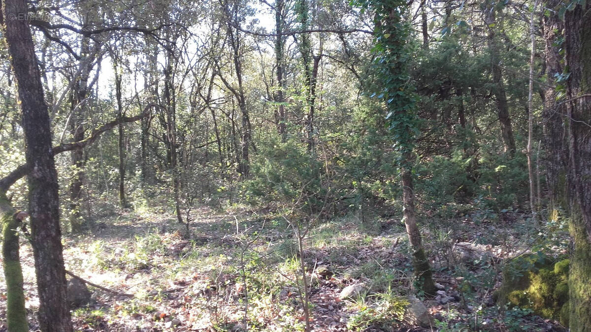Terrain à ROQUEDUR
