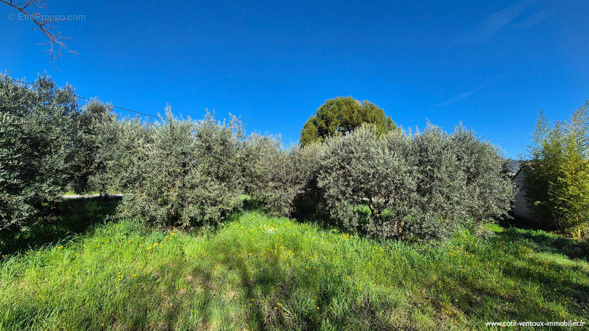 Terrain à AUBIGNAN