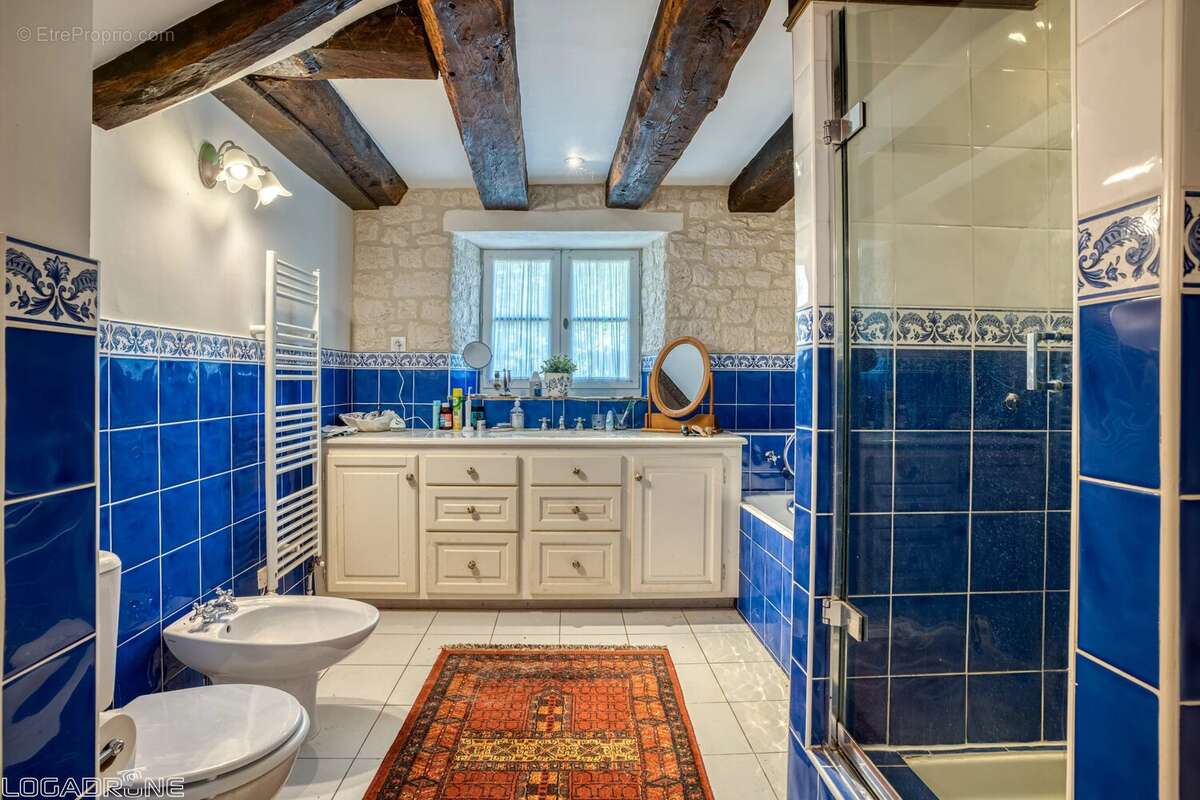 Charmante demeure avec maison d’amis, pigeonnier et piscines - photo 9