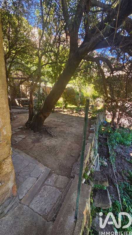 Photo 5 - Maison à OLMETO