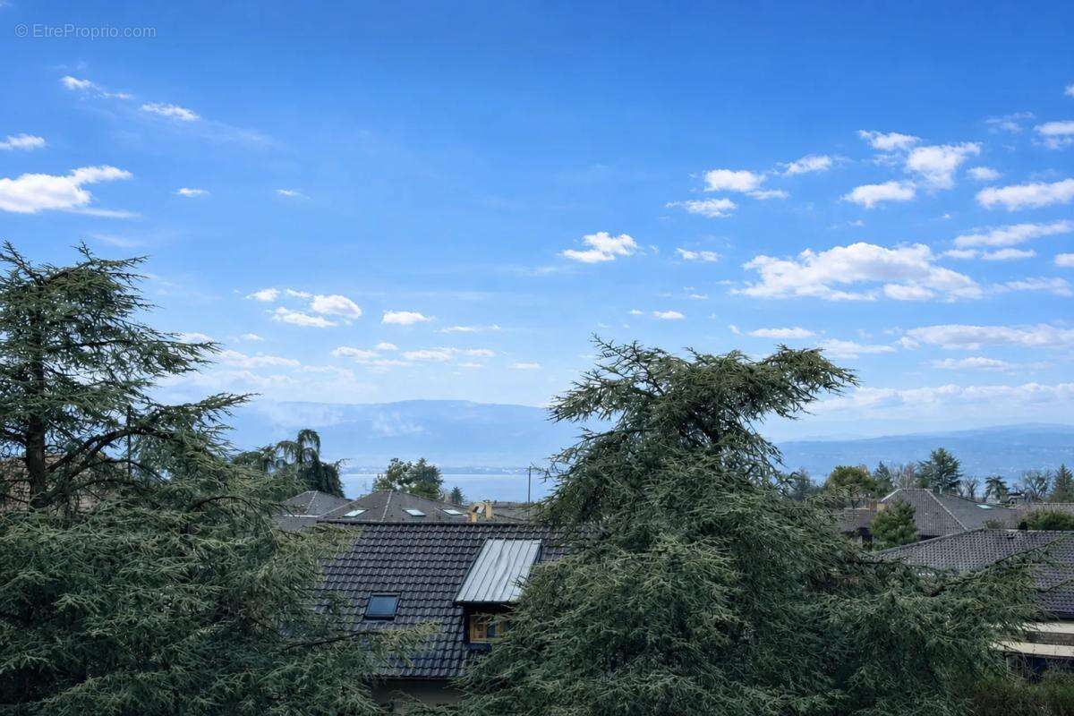 Lumineux T3 avec grande terrasse à Thonon - photo 7