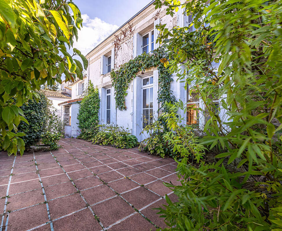 Maison de Charme à Mornac-sur-Seudre - Un Écrin de Sérénité - photo 3