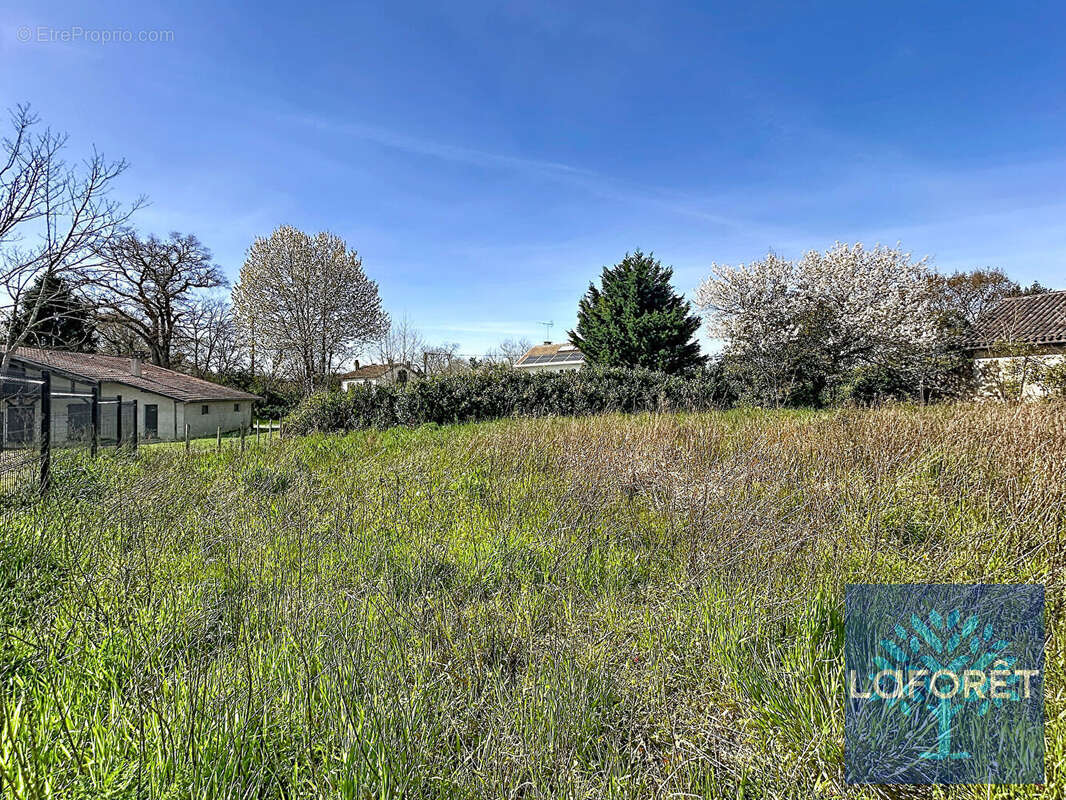 Terrain à SAINT-GEOURS-DE-MAREMNE