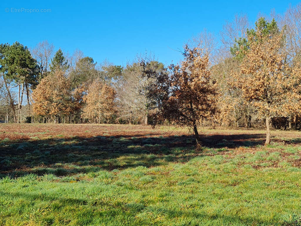 24400 entre Mussidan et Montpon  Terrain  de 11408 m² dont  constructible 4000m ² - photo 3