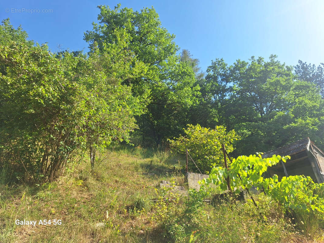 Authentique longère avec jardin, dépendance et 4 chambres   Au cœur de Sauveterre-la-Lémance - photo 13