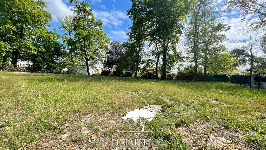 Terrain à LES MATHES