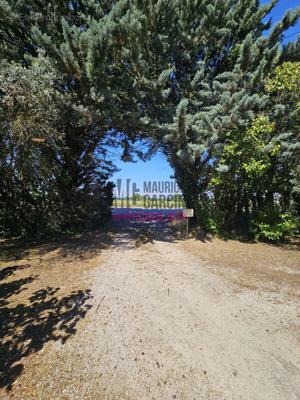 Maison à PERNES-LES-FONTAINES