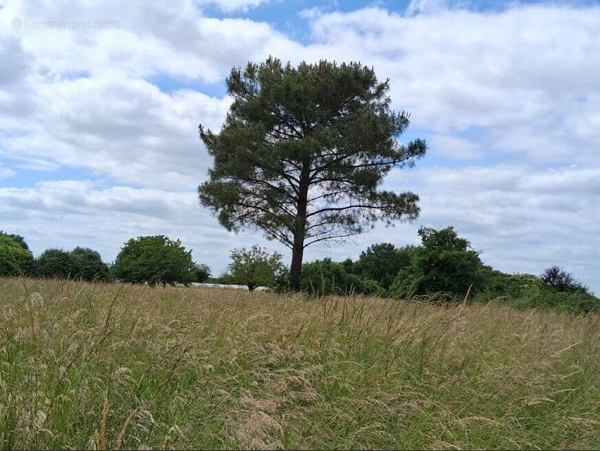 Terrain à PRIGONRIEUX
