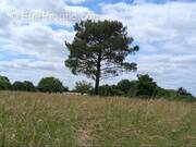 Terrain à PRIGONRIEUX