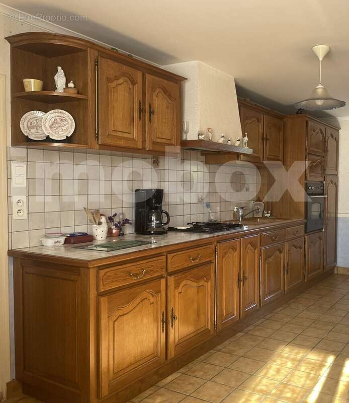 IMG_9090 - Maison à OUDON