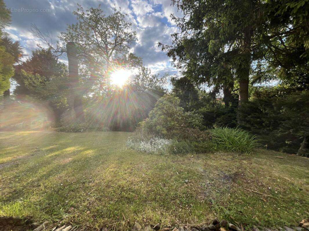 Maison à LA CELLE-SAINT-CLOUD