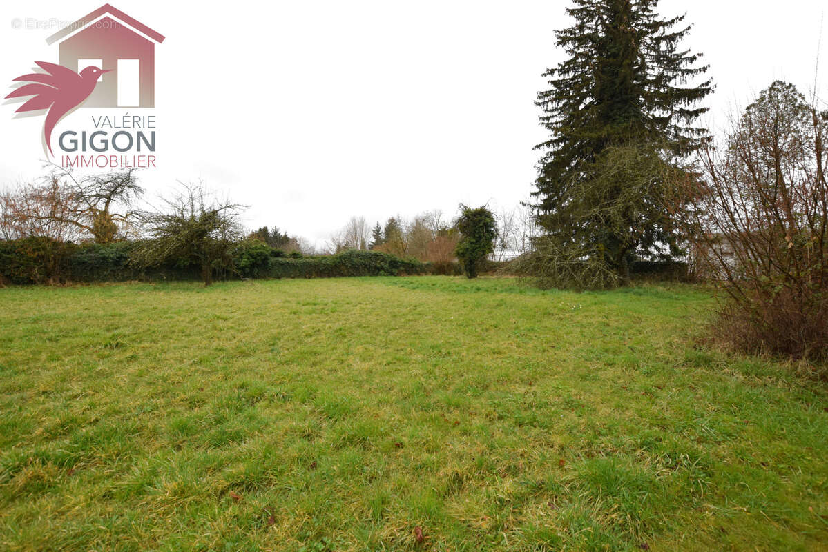 Magnifique terrain a batir de 31,67 ares.. - photo 3