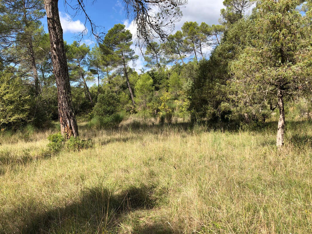 Propriété avec dépendances et vue montagne à Barjols - photo 45