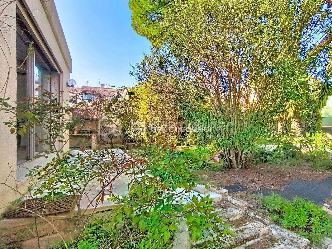 Maison à MONTPELLIER