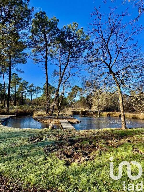 Photo 7 - Maison à MENESPLET