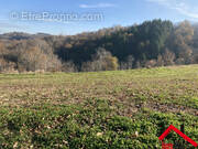 Terrain à SAINT-CYPRIEN