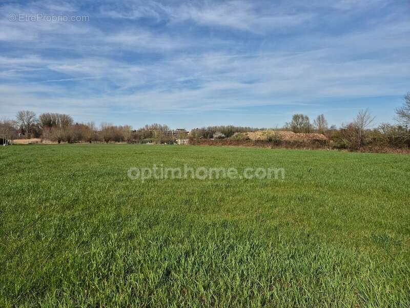 Appartement à WERVICQ-SUD