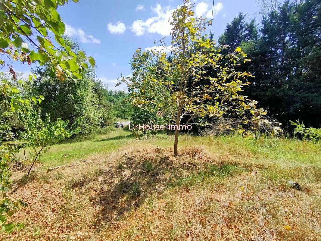 Terrain 910 m² à Charmes-Sur-L'herbasse  - photo 30