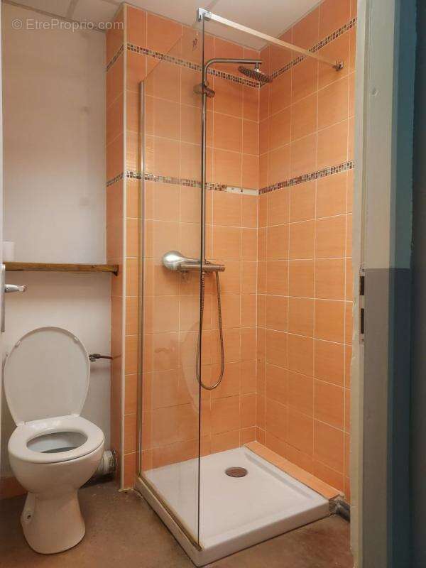MAISON INDIVIDUELLE RENOVEE– 5 chambres – Appartement T2 indépendant – Garage – Terrasse – Jardin - photo 6