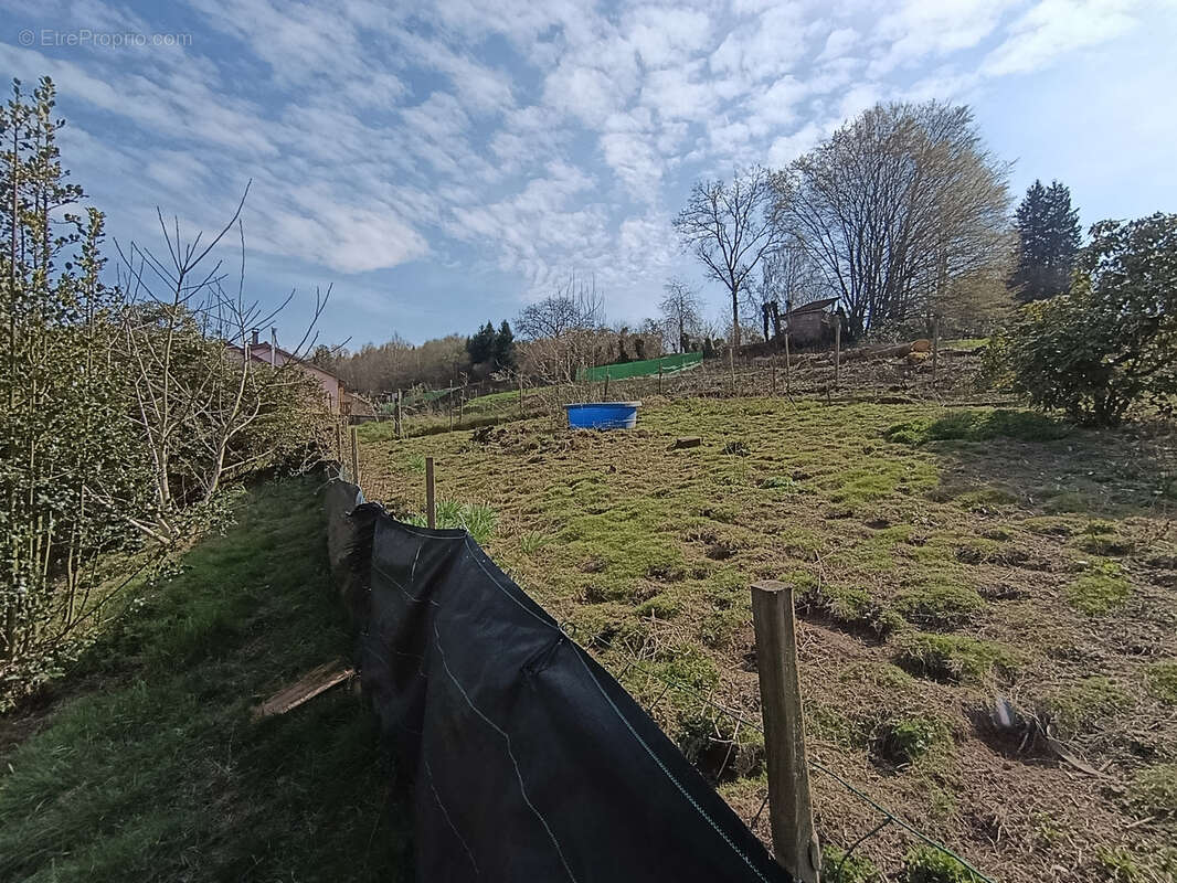 Maison à NEUFMAISONS