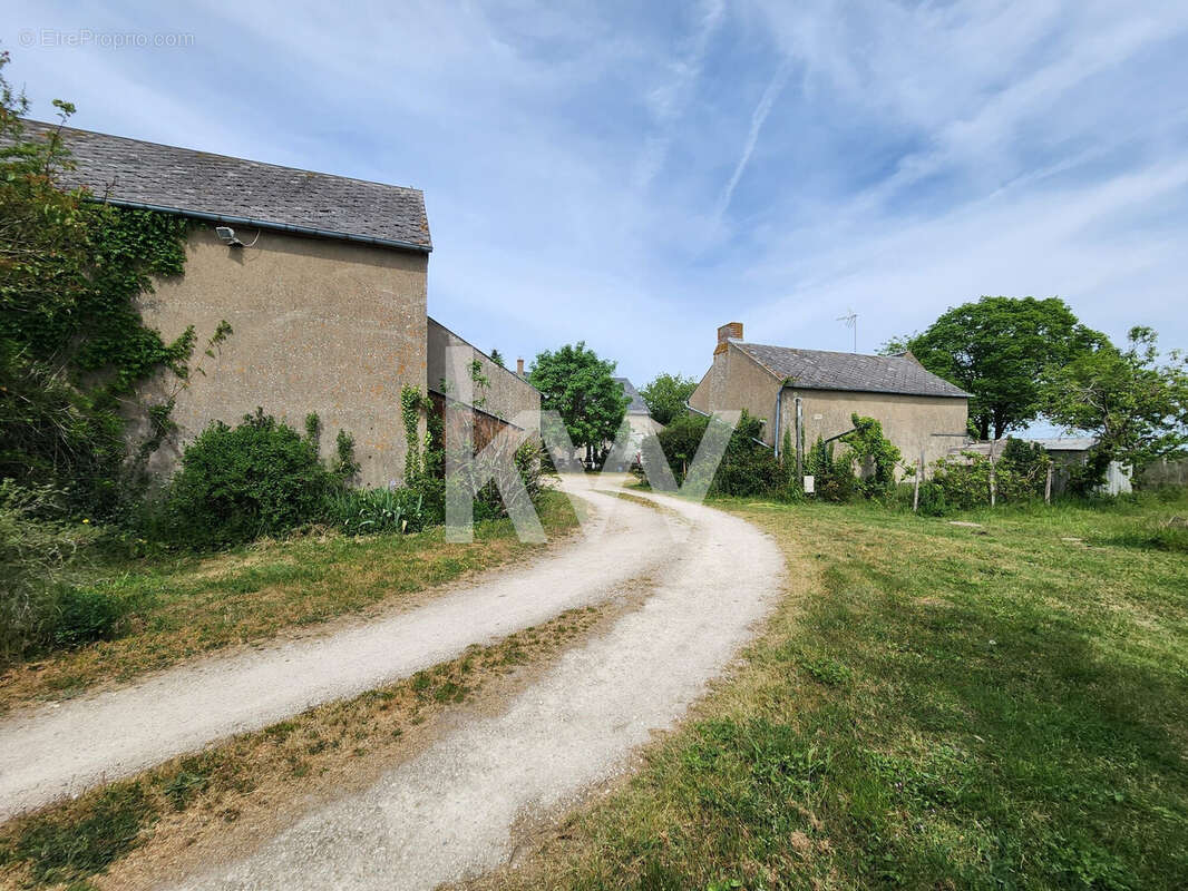 Maison 307 m² à Ouvrouer-Les-Champs  - photo 3