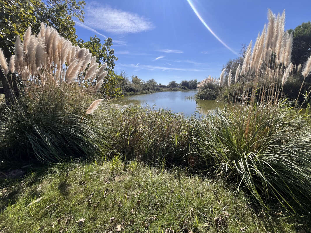 Maison à SAINTES-MARIES-DE-LA-MER