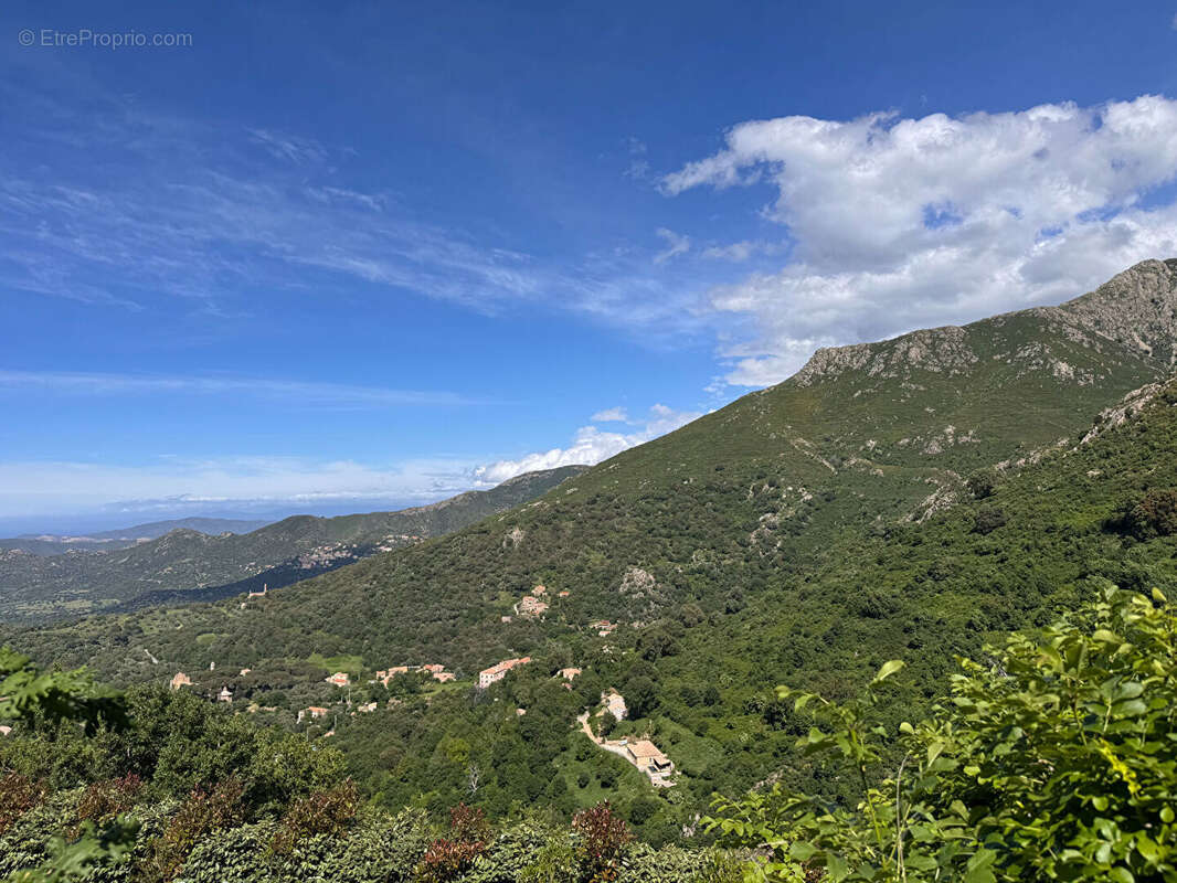 Maison à SPELONCATO