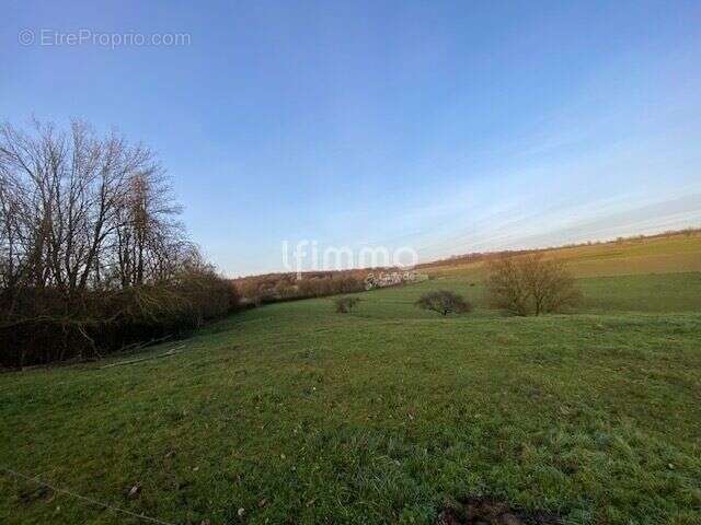 Terrain à WOELFLING-LES-SARREGUEMINES