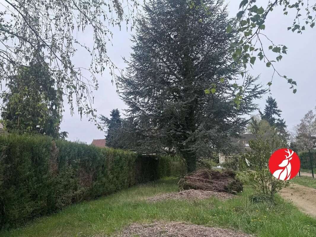 Terrain à SAINT-MARTIN-EN-BIERE