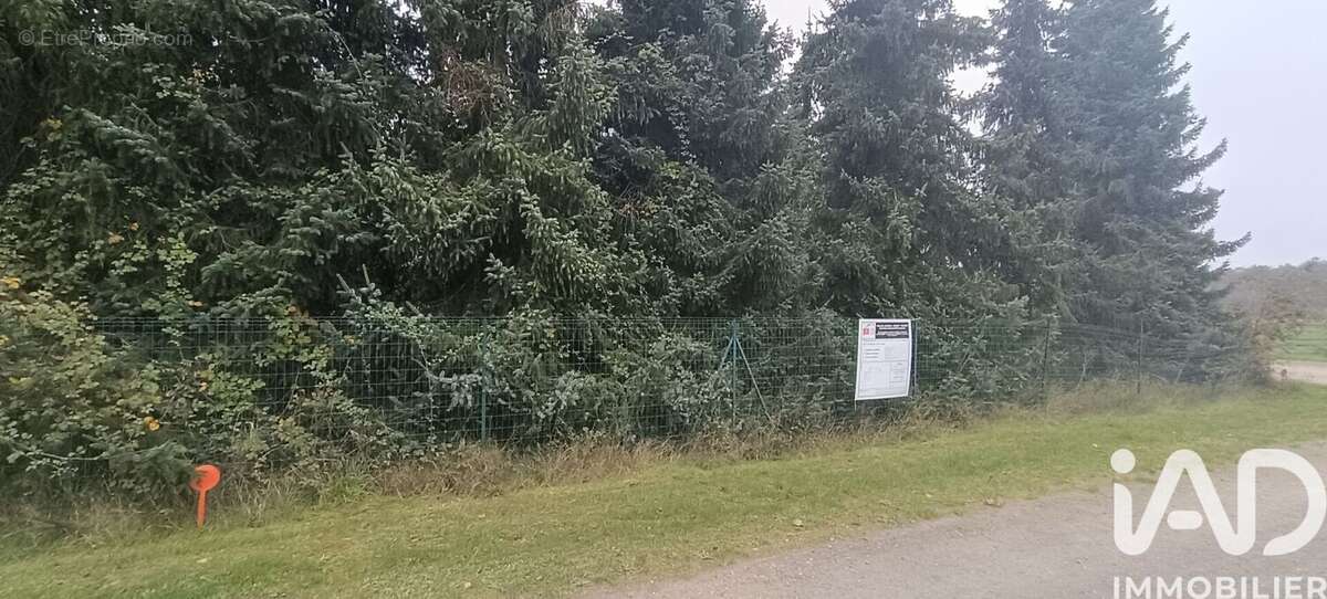 Photo 8 - Terrain à MAZIERES-DE-TOURAINE