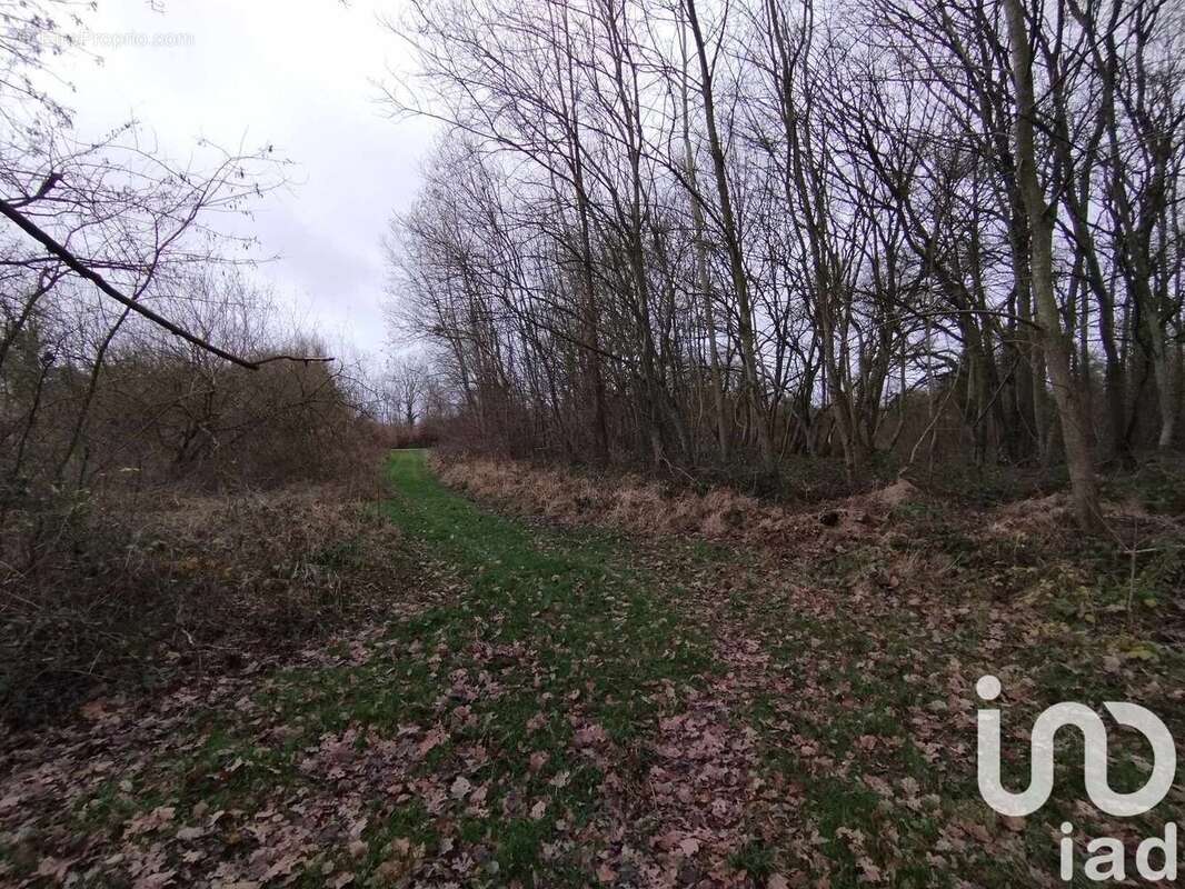 Photo 3 - Terrain à VEZILLY