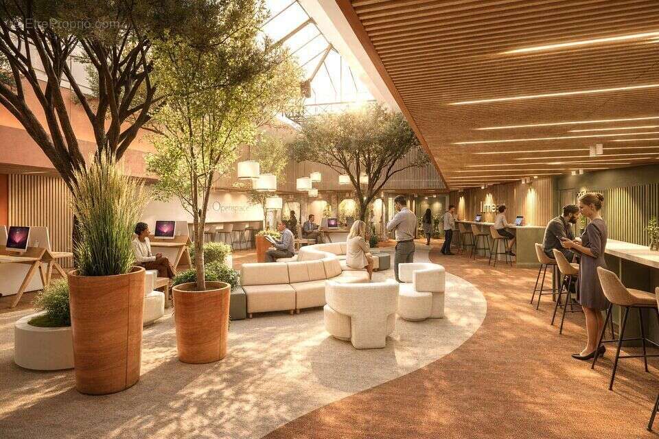 Commerce à TOULOUSE