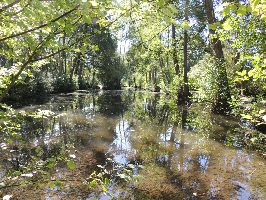 Terrain à SAINTE-CEROTTE