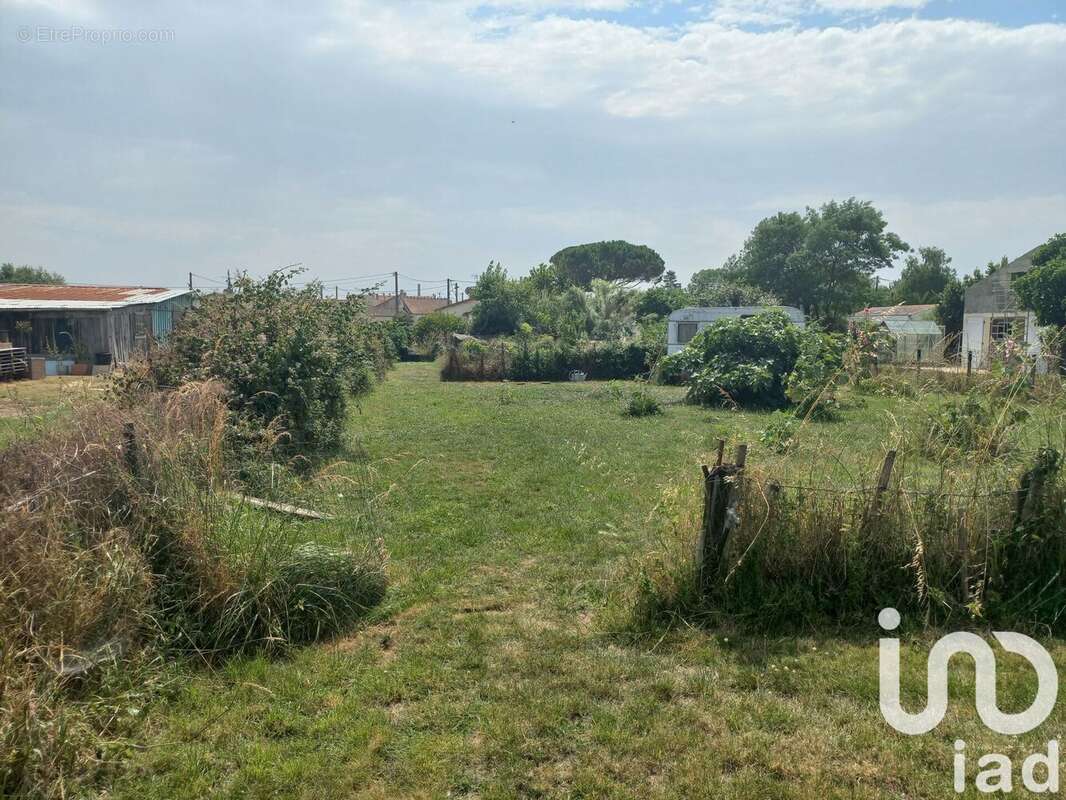 Photo 7 - Maison à LE CHATEAU-D'OLERON