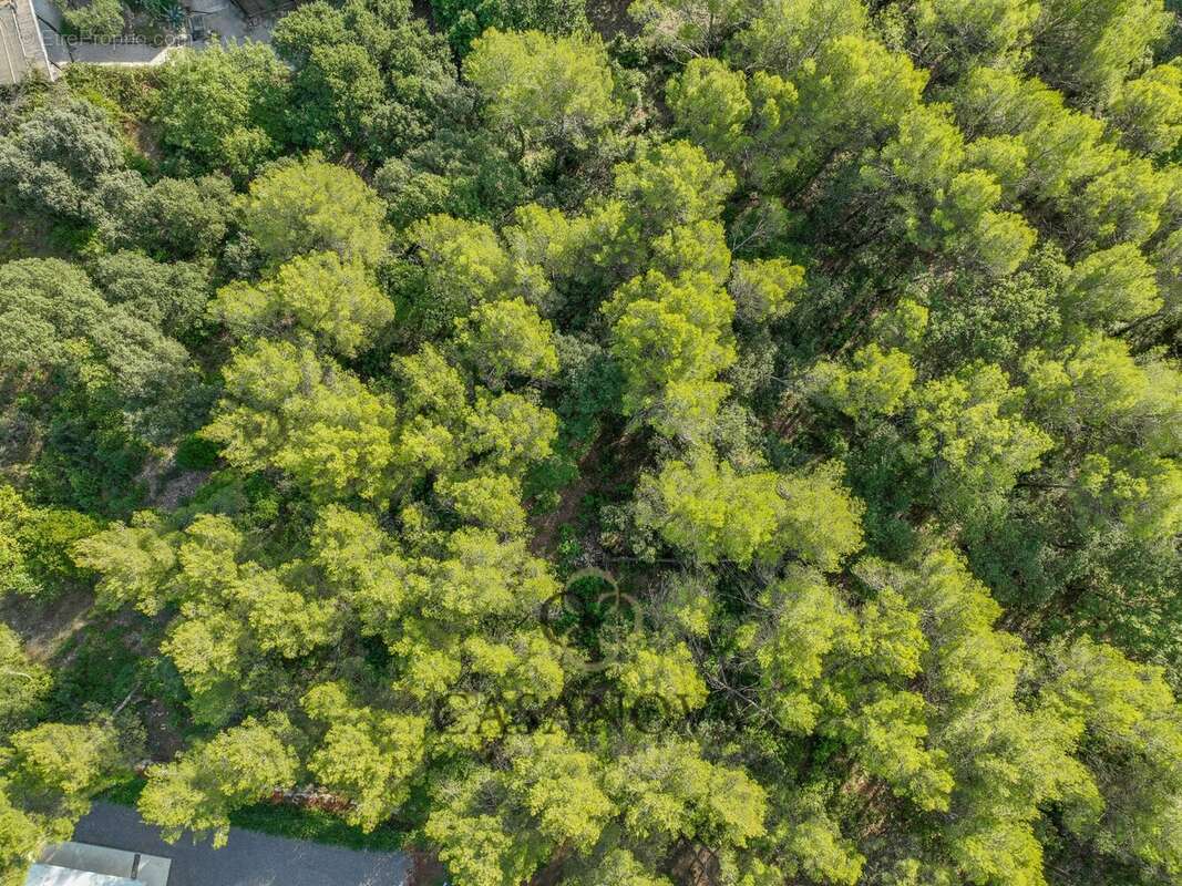 Terrain à SAINT-CLEMENT-DE-RIVIERE